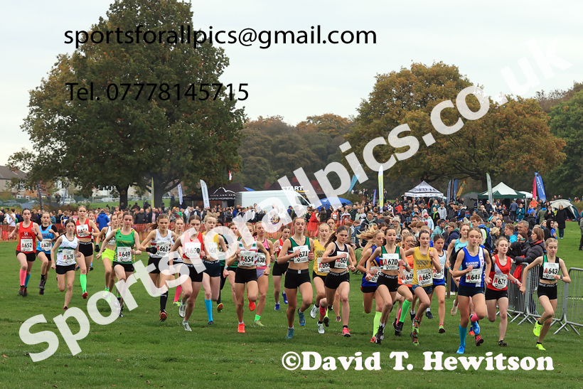 Girls Under-15s relay, 2025 Northern Cross Country Relays, Graves Park, Sheffield. Photo: David T. Hewitson/Sports for All Pics